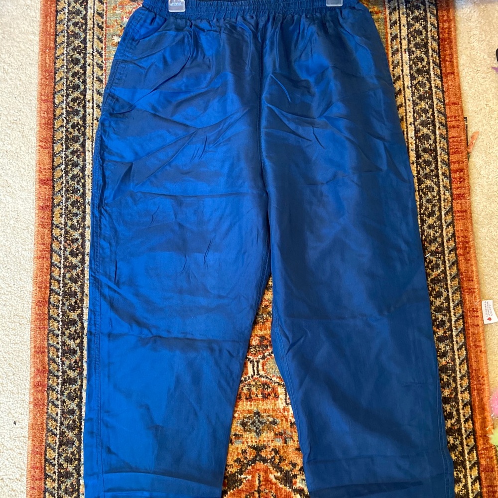 Royal blue Nylon pants